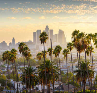 Downtown Los Angeles, California, representing worldwide pet shipping solutions