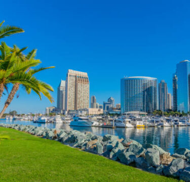 View of San Diego cityscape, illustrating professional international pet transport from San Diego